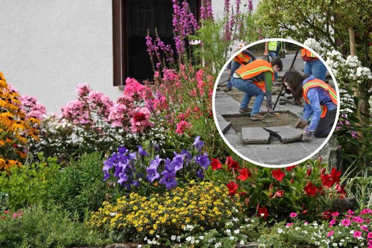 Moins de gris, plus de vert ! Gênes est la première commune à encourager le dépavage, en récompensant ceux qui remplacent le béton par des parterres de fleurs