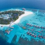 Victoire! La crise climatique a désormais des coupables : la bataille du micro-État de Vanuatu ébranle le monde