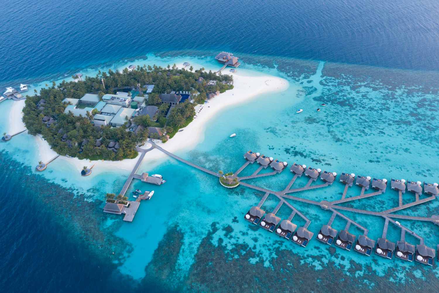 Victoire! La crise climatique a désormais des coupables : la bataille du micro-État de Vanuatu ébranle le monde
