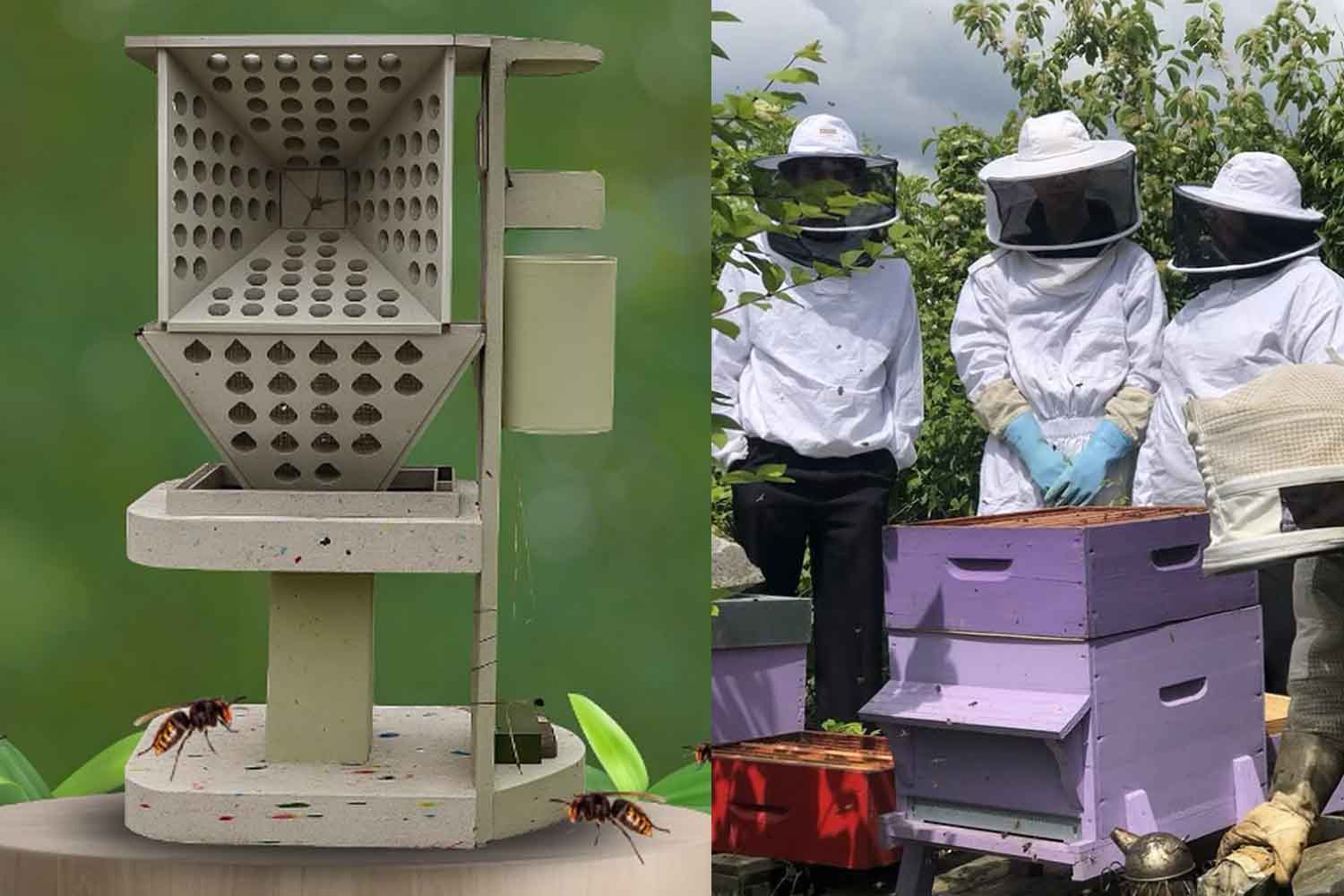 SafeToBee