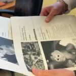 Lémuriens, ratons laveurs et autres espèces protégées vendus en ligne via de fausses publicités : une énorme arnaque déjouée par la finance