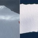 Antarctique, un iceberg de 500 mètres entraîne des conteneurs et des milliers de litres de diesel dans la mer : les scientifiques tirent la sonnette d'alarme
