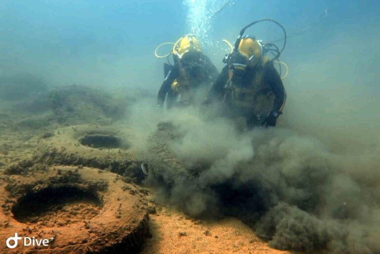 À Palerme, la mer est régénérée et la biodiversité est sauvegardée avec Marevivo