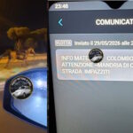La tragédie est au bord du drame à Rome : les chevaux prévus pour le défilé du 2 juin s'enfuient follement et courent dans les rues de la capitale