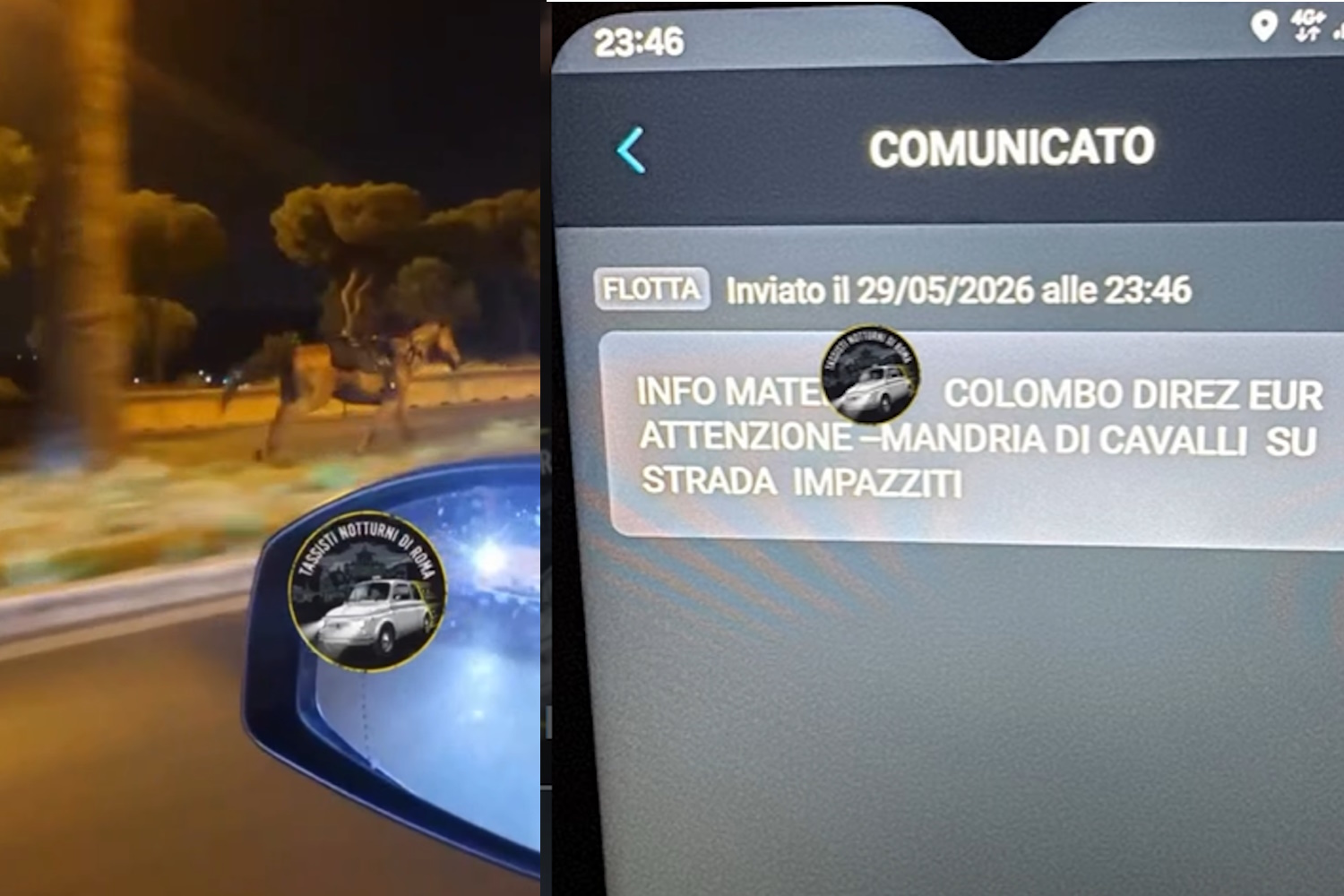 cavalli parata 2 giugno sulla colombo roma