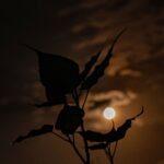 La première pleine lune de l'été semblera plus petite, tout le monde est prêt pour la microlune des Fraises