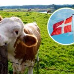 Le Danemark fait ses adieux au ministère de l'Agriculture : il sera remplacé par le ministère de la Nature et du Bien-être animal
