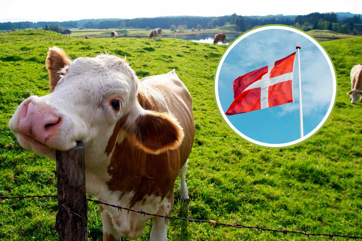 Le Danemark fait ses adieux au ministère de l'Agriculture : il sera remplacé par le ministère de la Nature et du Bien-être animal