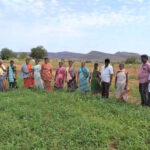 Adieu les pesticides ! Près de 2 millions d'agriculteurs indiens remportent le prix environnemental le plus important dédié à l'alimentation