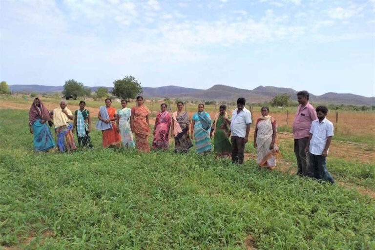 Adieu les pesticides ! Près de 2 millions d'agriculteurs indiens remportent le prix environnemental le plus important dédié à l'alimentation