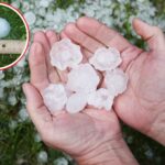 Moins de tempêtes, mais plus destructrices : la métamorphose de la grêle (plus de 3 cm) à l'ère du réchauffement climatique