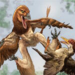 Des scientifiques ont découvert un nouveau dinosaure en Chine, il s'agit d'un « dragon à quatre ailes »