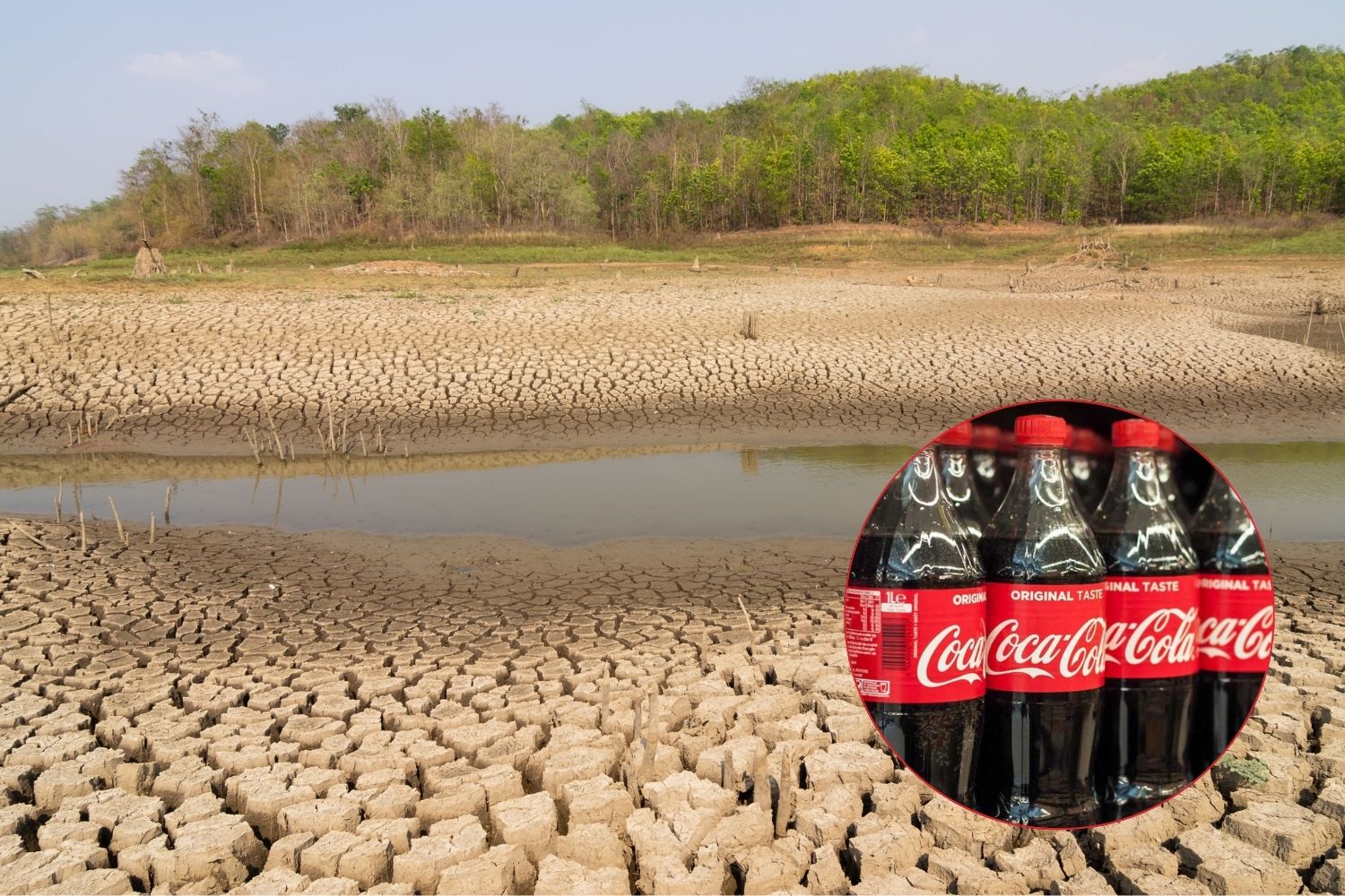 colombia cocacola
