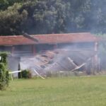 Un incendie ravage l'hippodrome de Trévise : 6 chevaux meurent étouffés (et sans issue de secours) dans une écurie