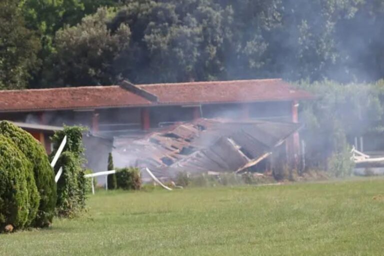 Un incendie ravage l'hippodrome de Trévise : 6 chevaux meurent étouffés (et sans issue de secours) dans une écurie