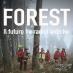 « Forest – L’avenir a des racines anciennes », le documentaire puissant qui révèle les secrets du travail forestier (et la renaissance des bois après Vaia)