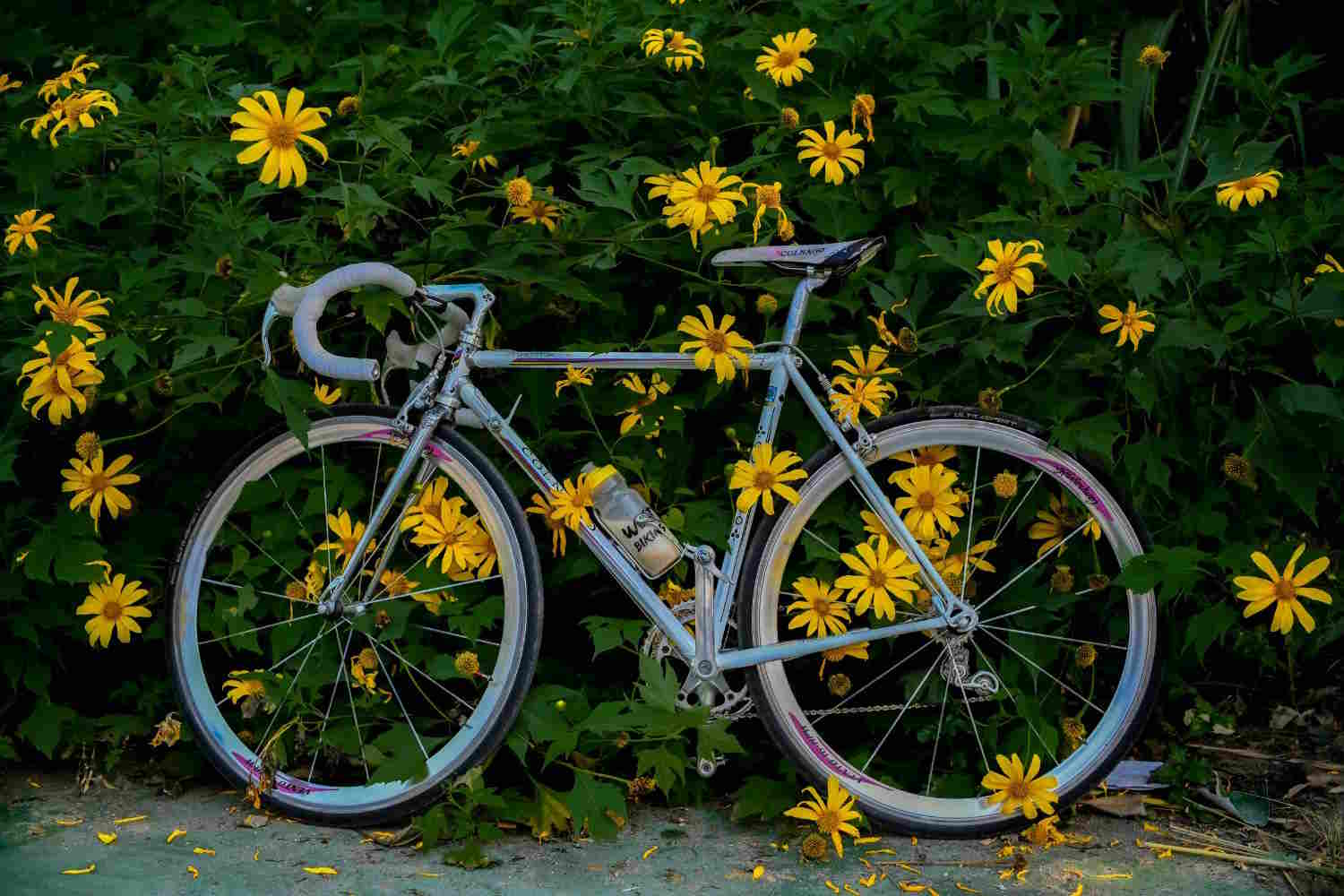 vélo
