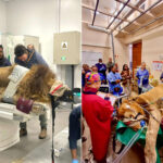 Que fait un lion à l’intérieur d’un scanner humain ? Les images du majestueux félin hospitalisé font le tour du monde