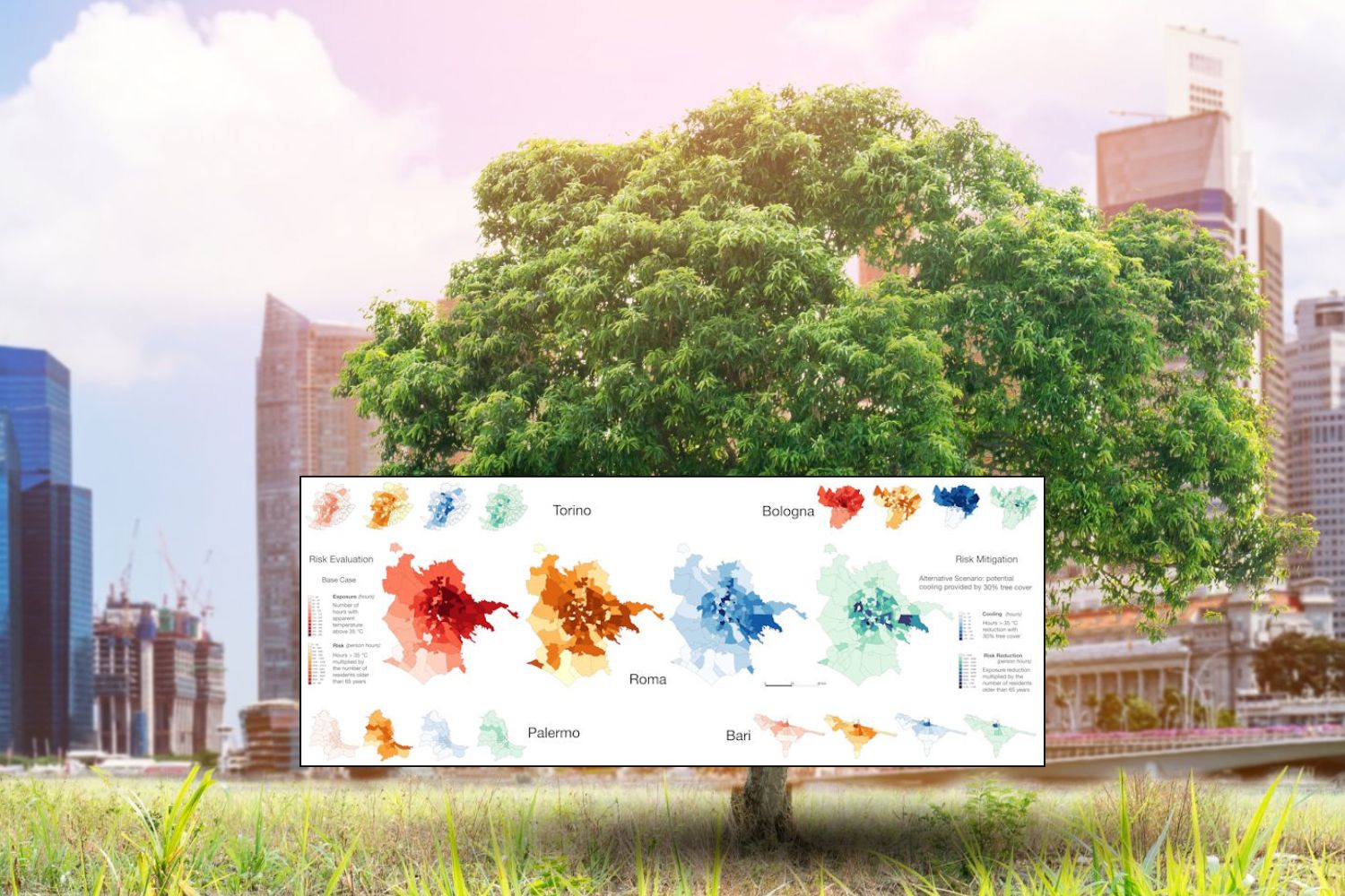 alberi città