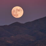 Full Strawberry Moon 2026 : quand la voir et pourquoi ce sera une microlune