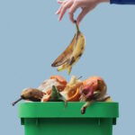 Humide : que jeter, ce qu'il faut éviter et comment l'IA, les robots et l'informatique de pointe changent le compostage