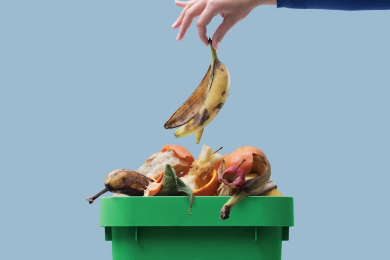 Humide : que jeter, ce qu'il faut éviter et comment l'IA, les robots et l'informatique de pointe changent le compostage