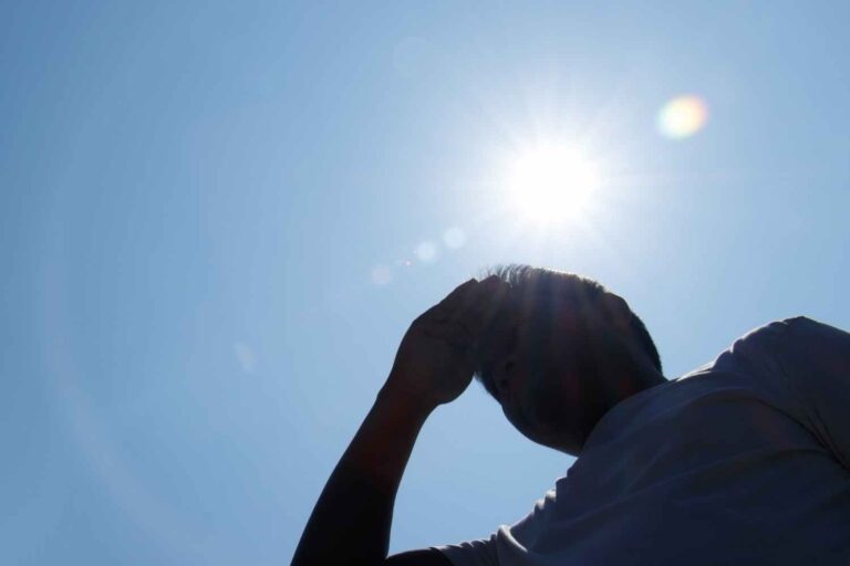 Plus de 1 300 morts en une semaine à cause de la chaleur extrême : la crise climatique fait payer le prix à l'Europe