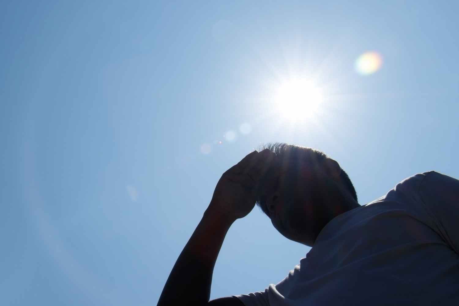 Plus de 1 300 morts en une semaine à cause de la chaleur extrême : la crise climatique fait payer le prix à l'Europe
