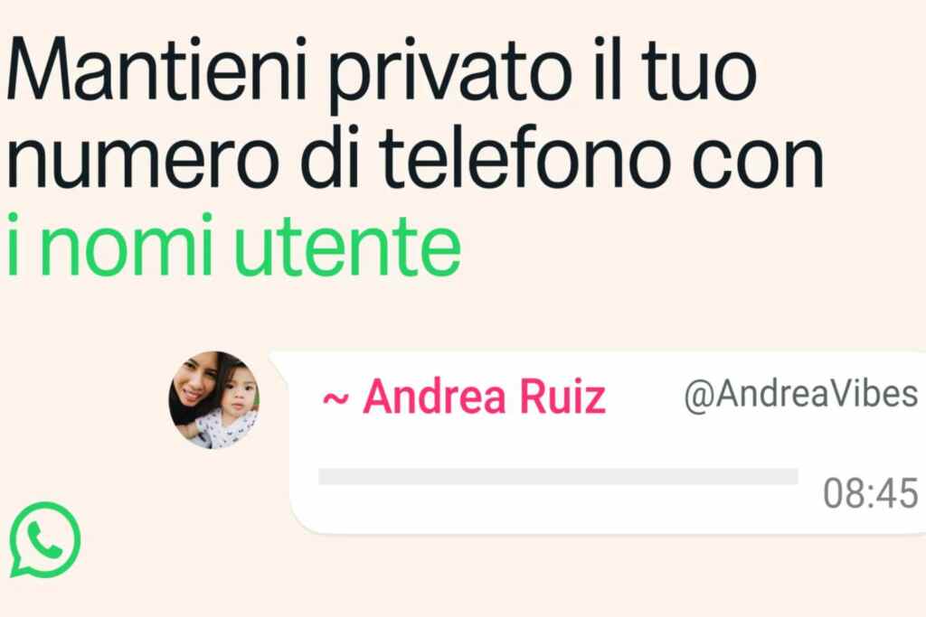 Numéro de téléphone WhatsApp