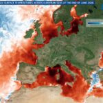 La mer Méditerranée est une soupe : +6°C par rapport à la moyenne (et les espèces exotiques prolifèrent)