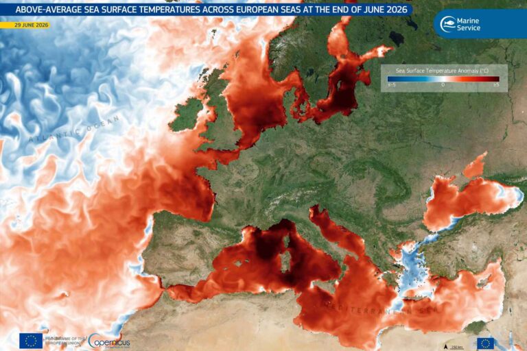 La mer Méditerranée est une soupe : +6°C par rapport à la moyenne (et les espèces exotiques prolifèrent)