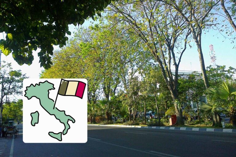 Ce sont les villes italiennes avec le plus d'arbres : une commune d'Émilie domine le classement vert