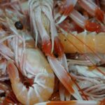 Les langoustines ressentent la douleur comme les vertébrés : l'étude révèle que nous les avons toujours sous-estimées