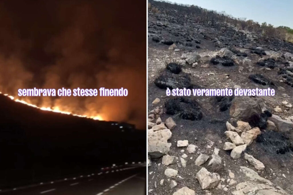 Incendio santuario