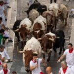 San Fermin, la première (folle) course de taureaux à Pampelune se termine avec 5 blessés : assez de cette barbarie !