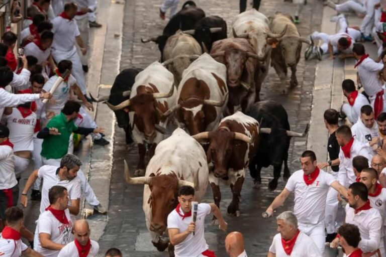 San Fermin, la première (folle) course de taureaux à Pampelune se termine avec 5 blessés : assez de cette barbarie !