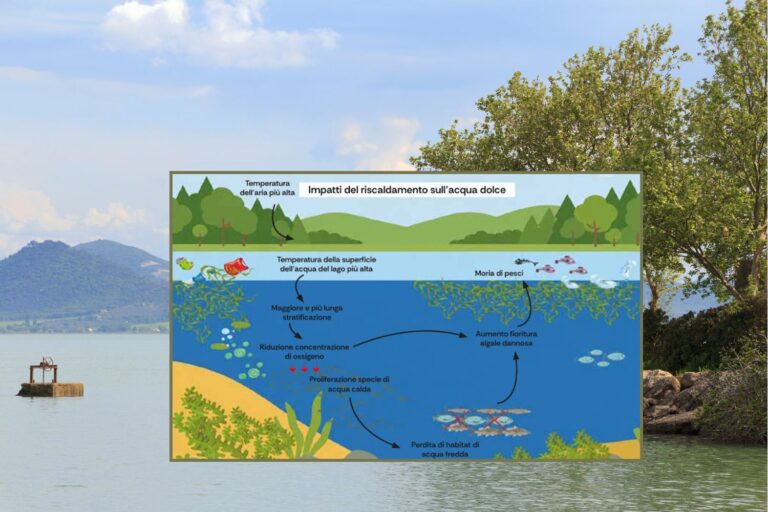 Le cri silencieux des lacs italiens, entre sécheresse, pollution et PFAS : du Majeur au Trasimène, les bassins les plus menacés