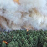 Le poumon vert brûle aux portes de Paris : course contre la montre pour apprivoiser l'énorme incendie de la forêt de Fontainebleau