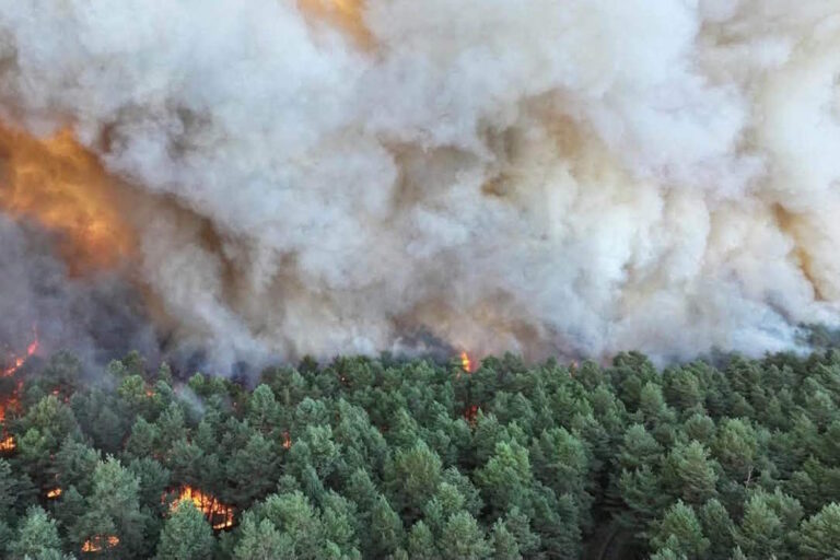 Le poumon vert brûle aux portes de Paris : course contre la montre pour apprivoiser l'énorme incendie de la forêt de Fontainebleau