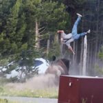 Un bison de 900 kilos charge un touriste marchant avec son neveu et le jette en l'air : peur dans le parc de Yellowstone