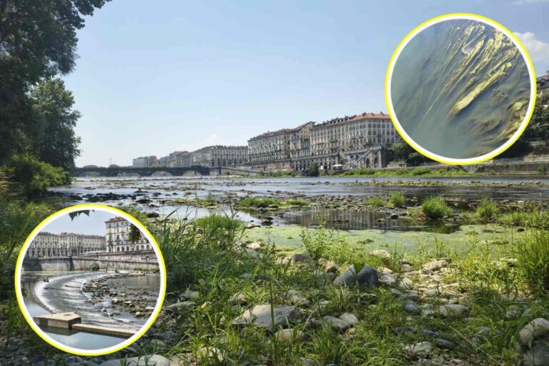 Le Pô asséché se transforme en étendue d'algues (et le Piémont sans eau demande de l'aide) : je vais vous montrer l'agonie du grand fleuve