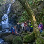 « Nous cultivons littéralement l'avenir » : des bénévoles sauvent la forêt tropicale écossaise en collectant 11 millions de graines