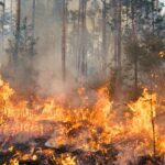 Les incendies n'attendent plus l'été : près de 500 incendies avant la saison officielle. Le rapport