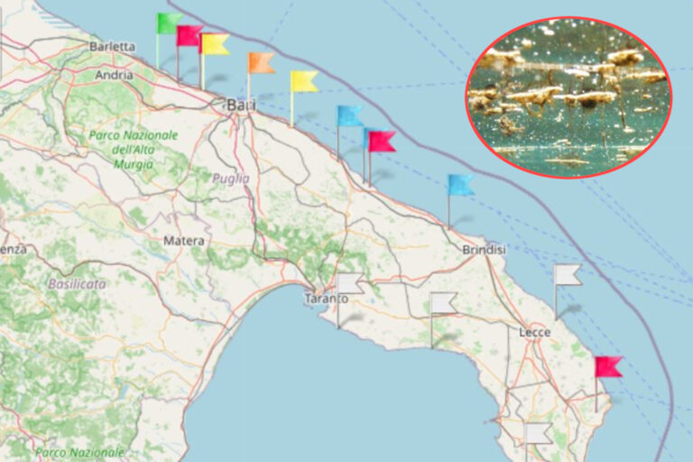 Les algues toxiques reviennent dans les Pouilles, la vignette rouge est délivrée sur ces plages : la carte des zones à risque (et les symptômes)