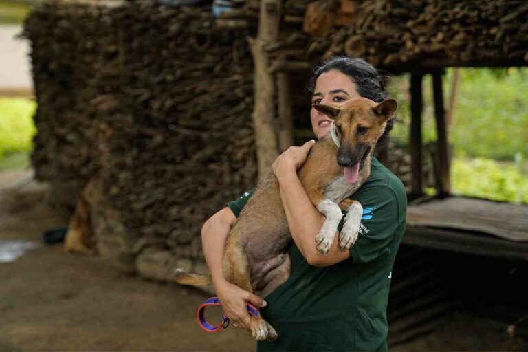 Les femmes d’affaires indiennes en ont assez dit sur le commerce de la viande de chien