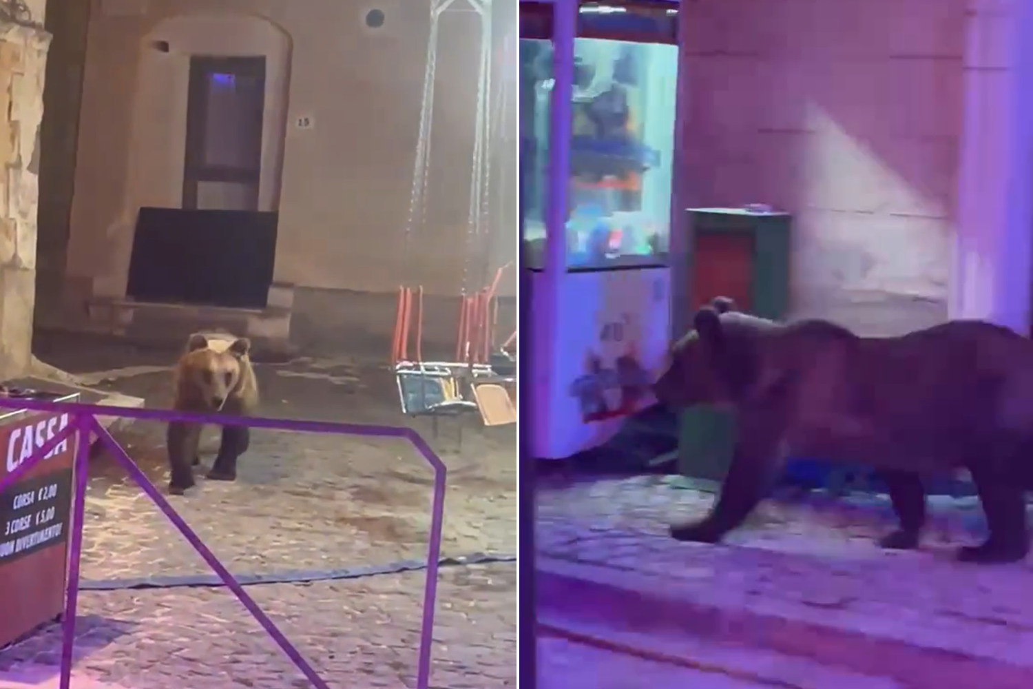 Orso Villa Scontrone