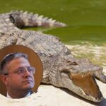 Israël veut placer des crocodiles autour des prisons palestiniennes : le plan fou « Alligator Alcatraz » (inspiré de celui de Trump)