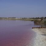 Lac Retba : voici comment le Lac Rose du Sénégal a retrouvé sa couleur (et son sel) grâce au travail de 100 bénévoles