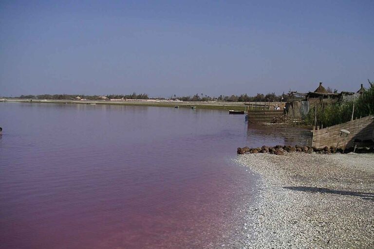 Lac Retba : voici comment le Lac Rose du Sénégal a retrouvé sa couleur (et son sel) grâce au travail de 100 bénévoles
