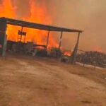 Le Gargano brûle : le feu atteint les plages de Peschici, les touristes mis en sécurité par la mer